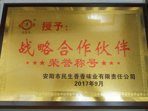 2017年战略合作伙伴
